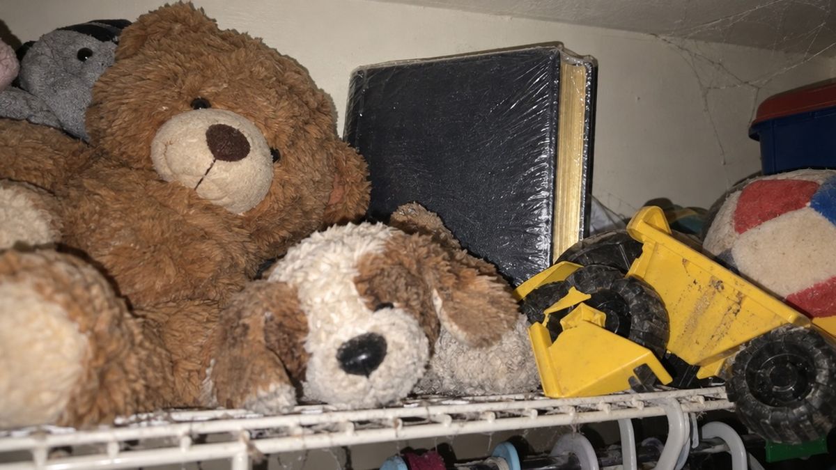 A children's Bible still in shrink wrap on a closet shelf behind stuffed animals
